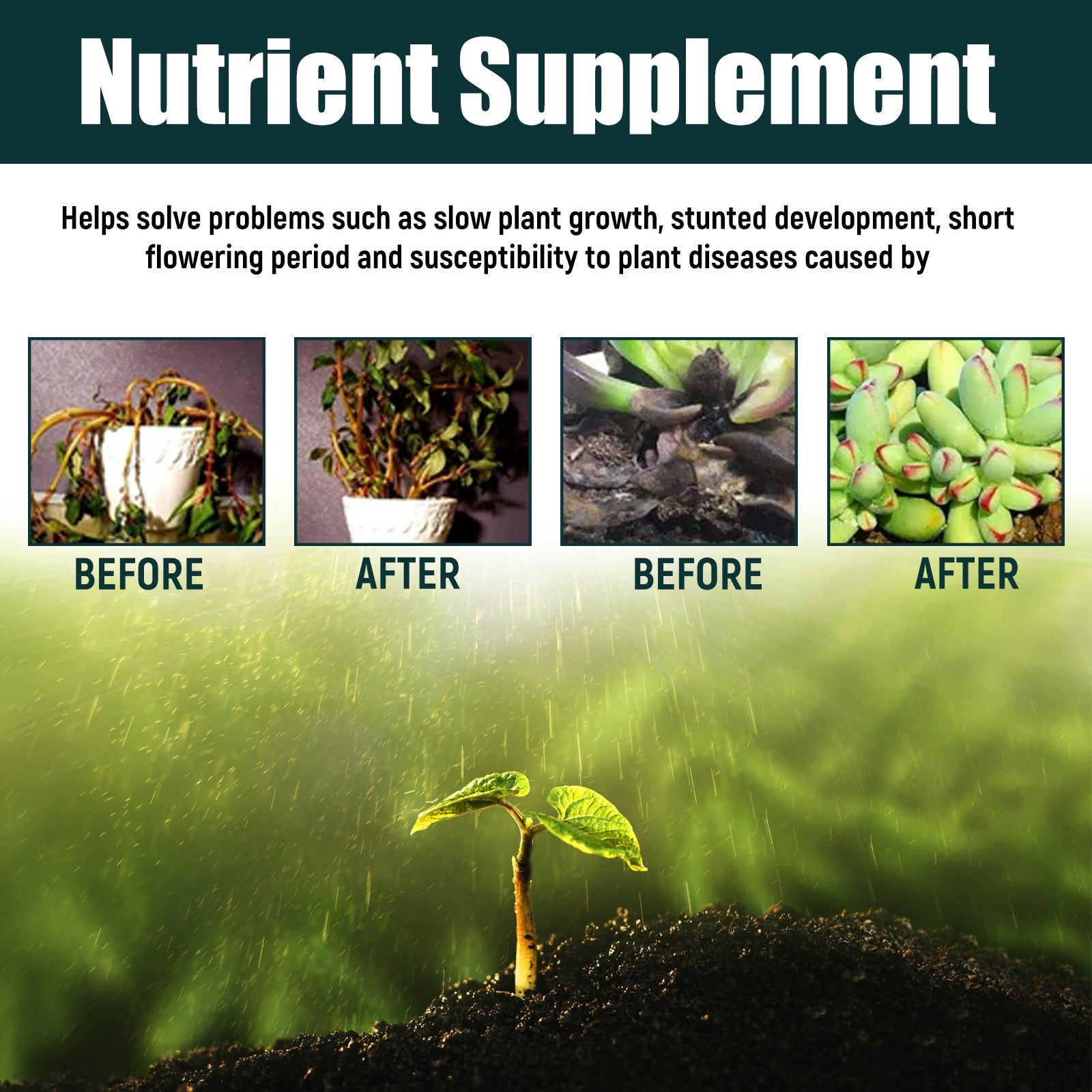 Boost Plant Growth with Organic Nutritional Solution, Fertilizer for Healthy Lush Gardens ,30ml
