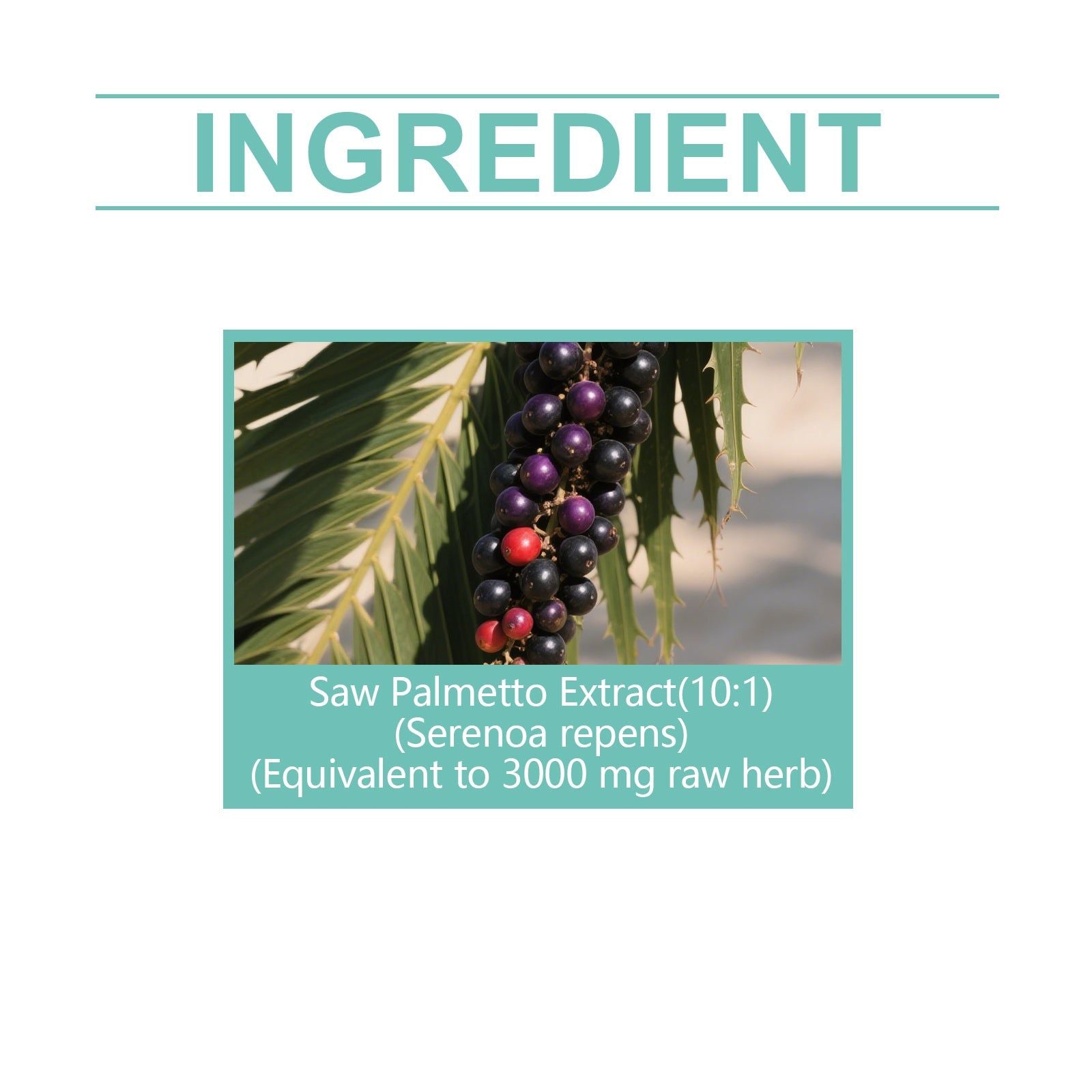 Boost Prostate Health with Top-Rated Supplements, Improve Urinary Comfort Today ,60ml