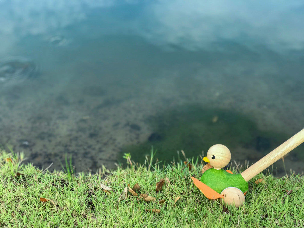 Push Along Duck