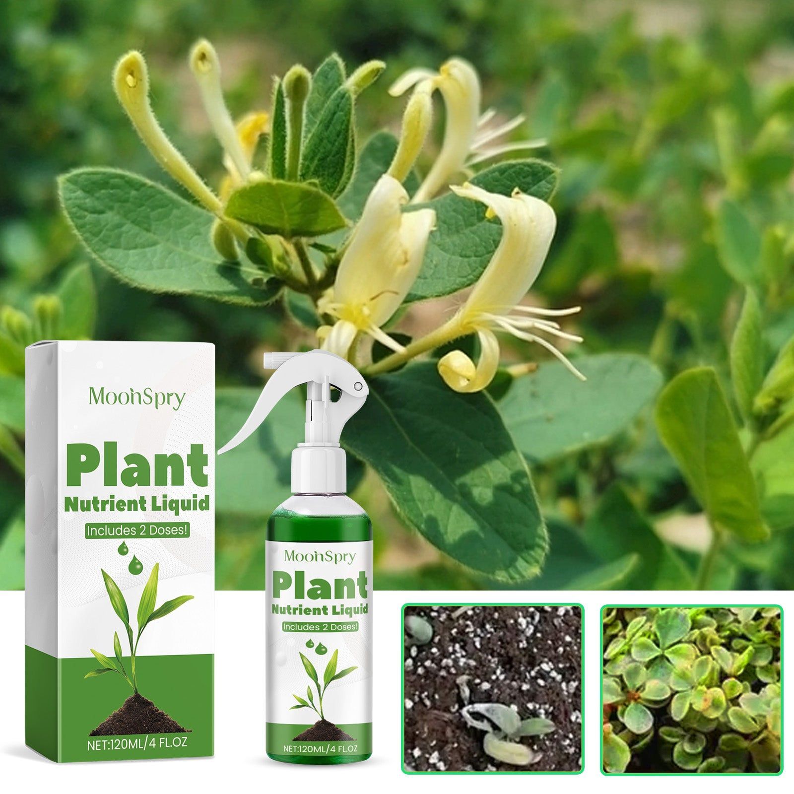 Boost Plant Growth with Nutrient Implant Solution, Garden Fertilizer for Healthy Blooms ,120ml