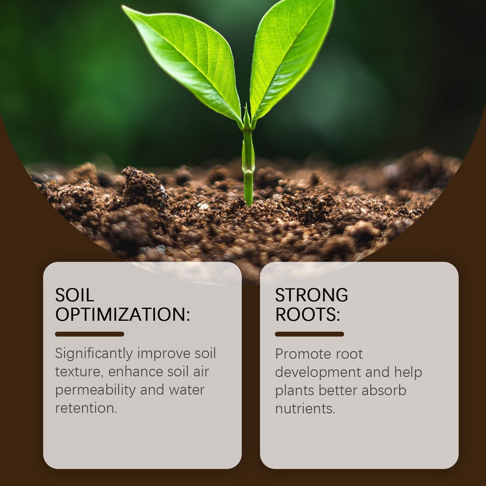Boost Plant Growth with Soil Nutrient Activation Powder, Fertilizer for Healthy Soil ,200g