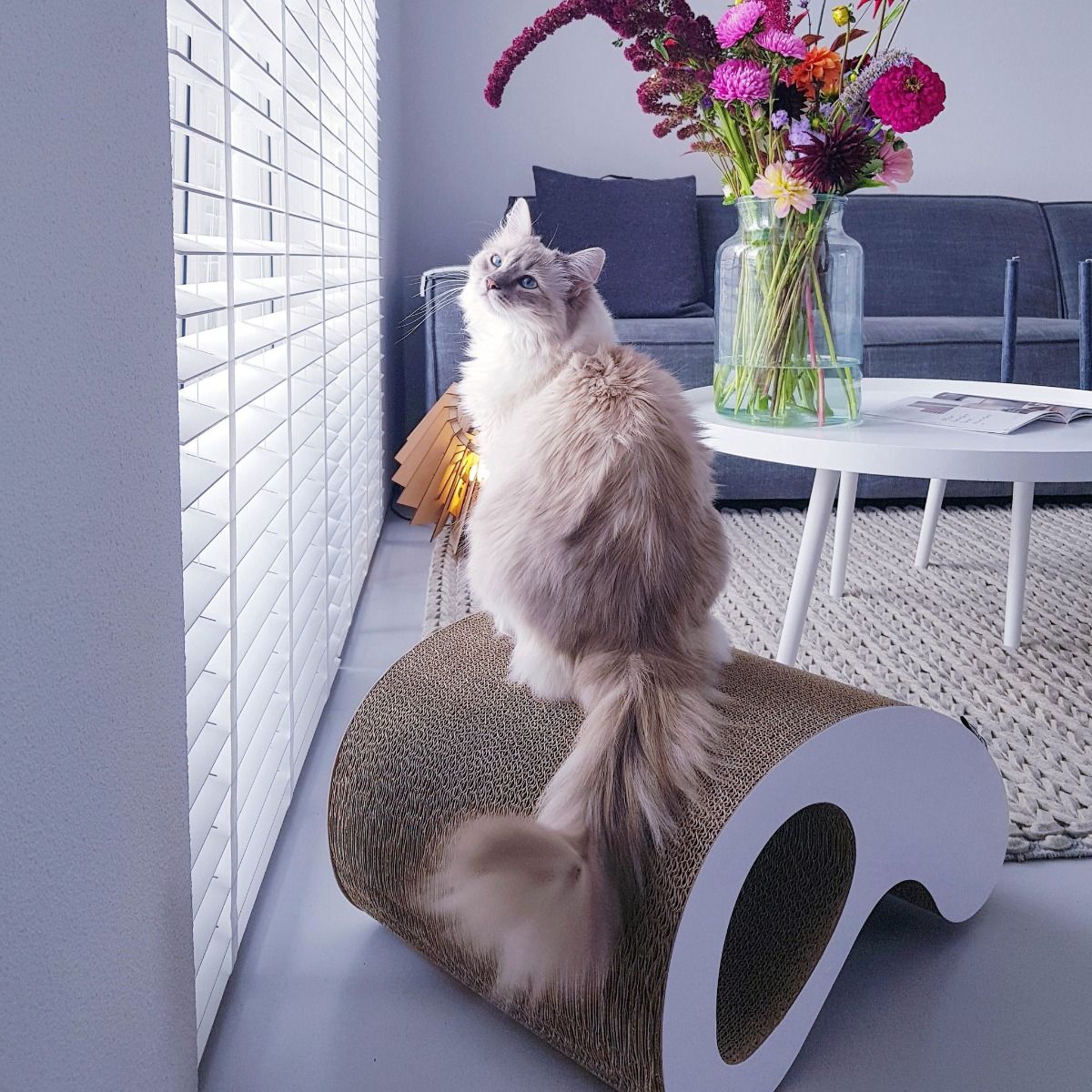 Arch Cardboard Cat Scratcher