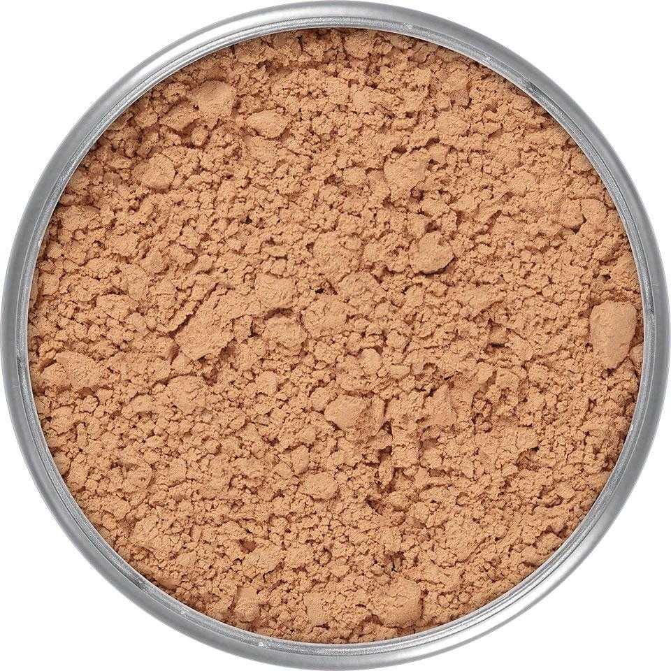 Translucent Powder 20g