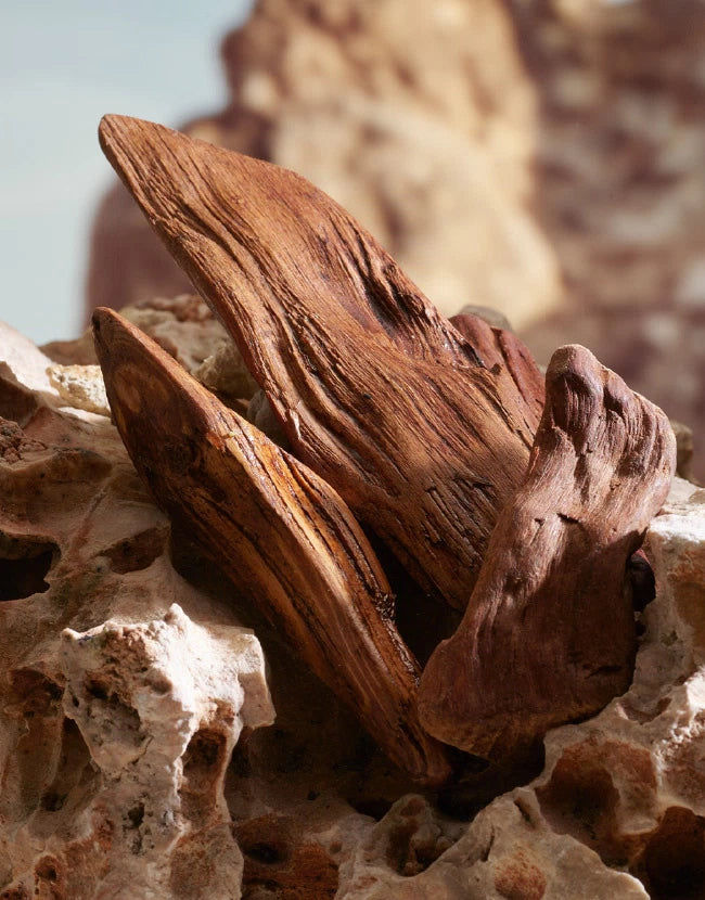 K By Dolce&Gabbana Parfum 100ml