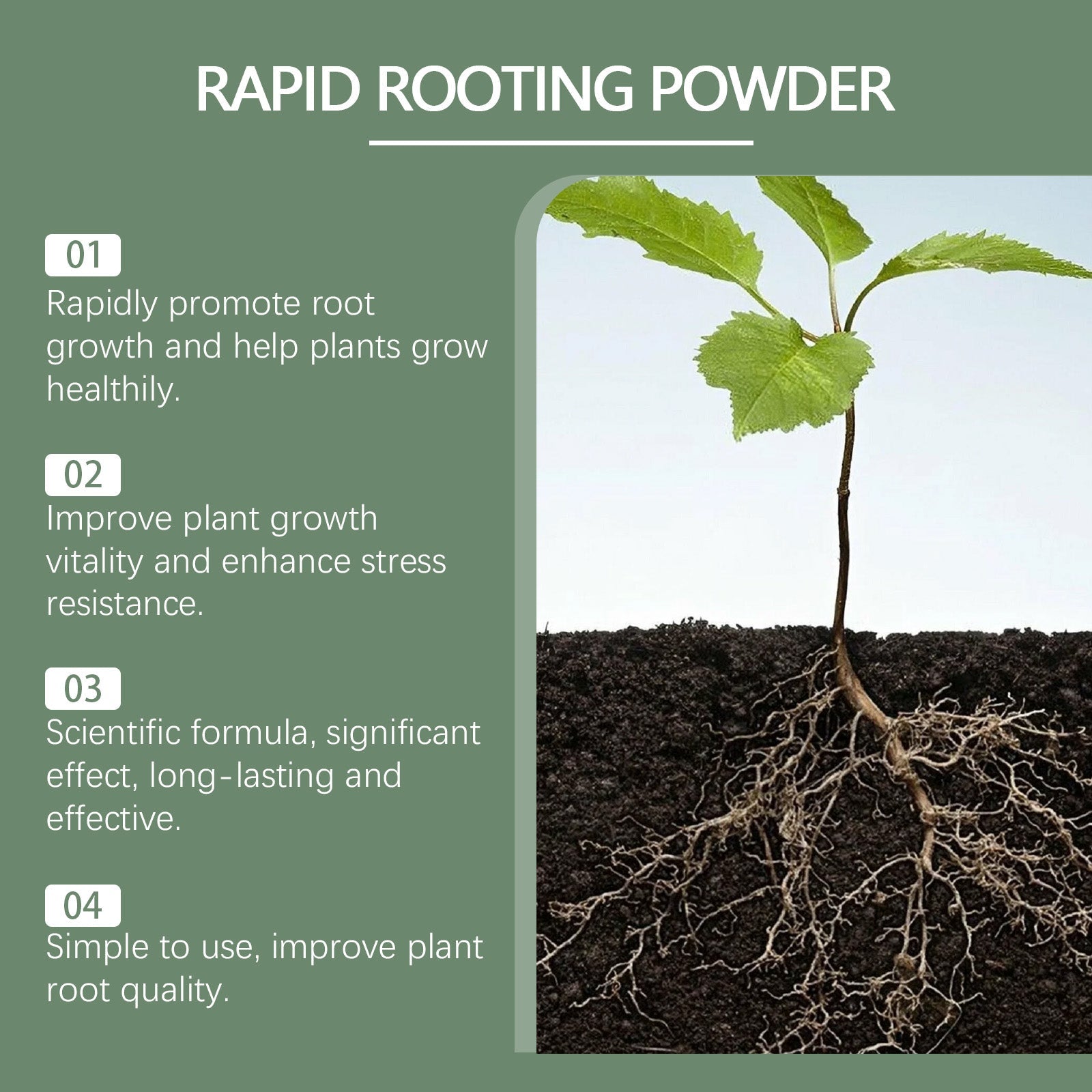 Boost Plant Growth with Root Powder, Organic Soil Nutrient, Root Development, Plant Health ,100g