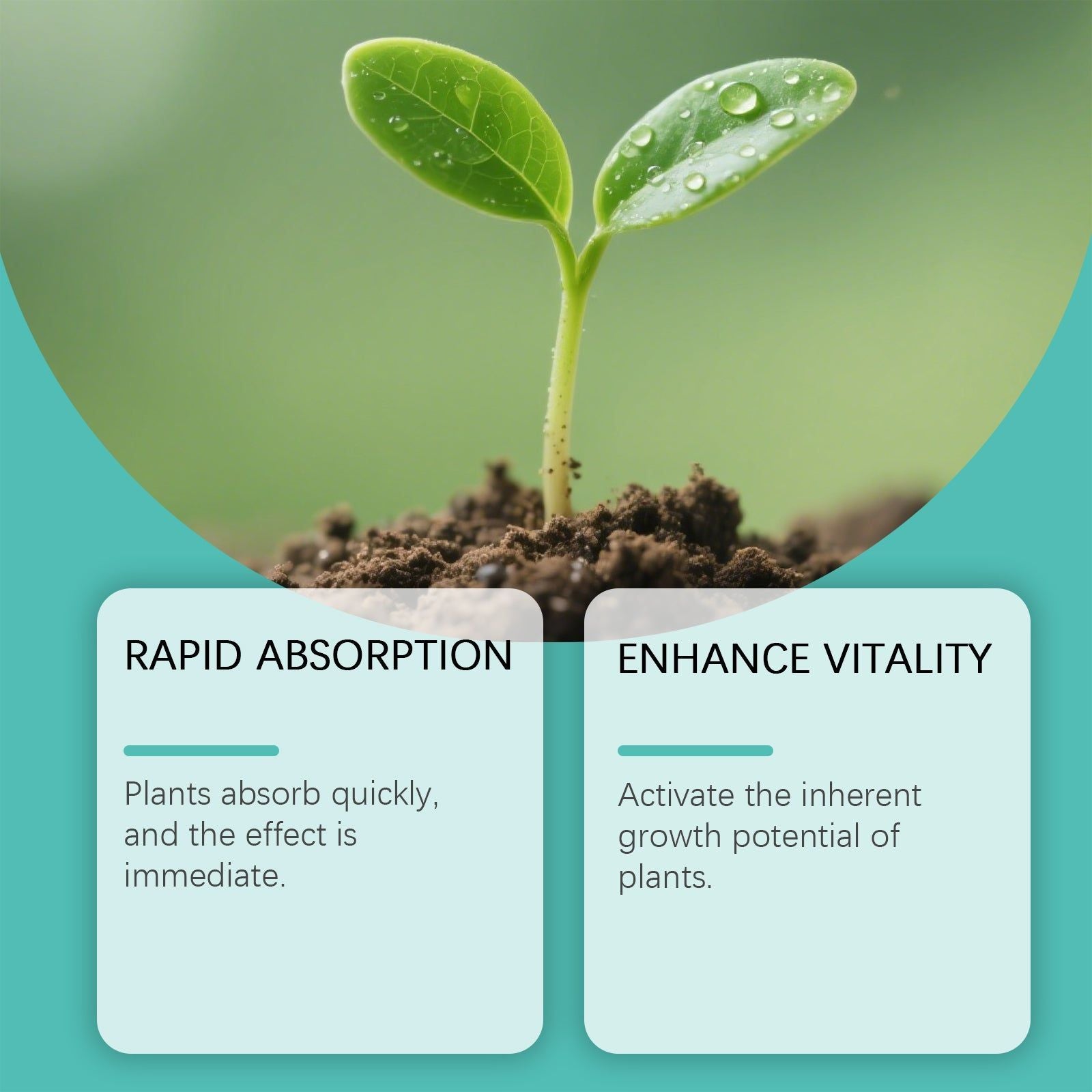 Boost Plant Growth with Plant Nutrient, Hydroponic Fertilizer, Root Activator ,90ml