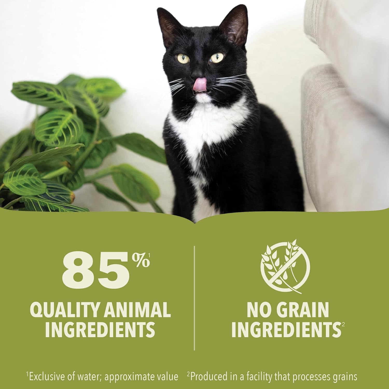 Acana Premium Tuna & Chicken Pate Cat Wet Food 85G