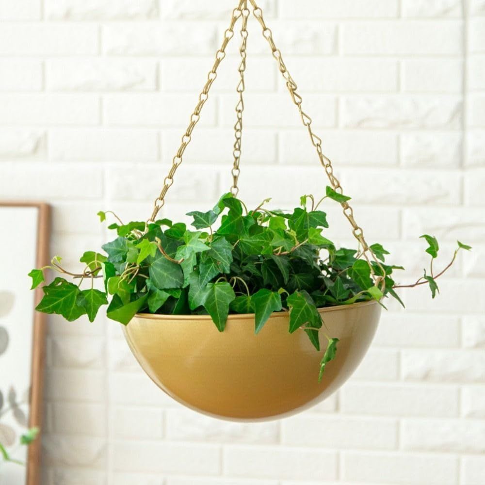 Hanging Flower Pot Decor Display Container Iron Flower Basket for Balcony Succulent Indoor