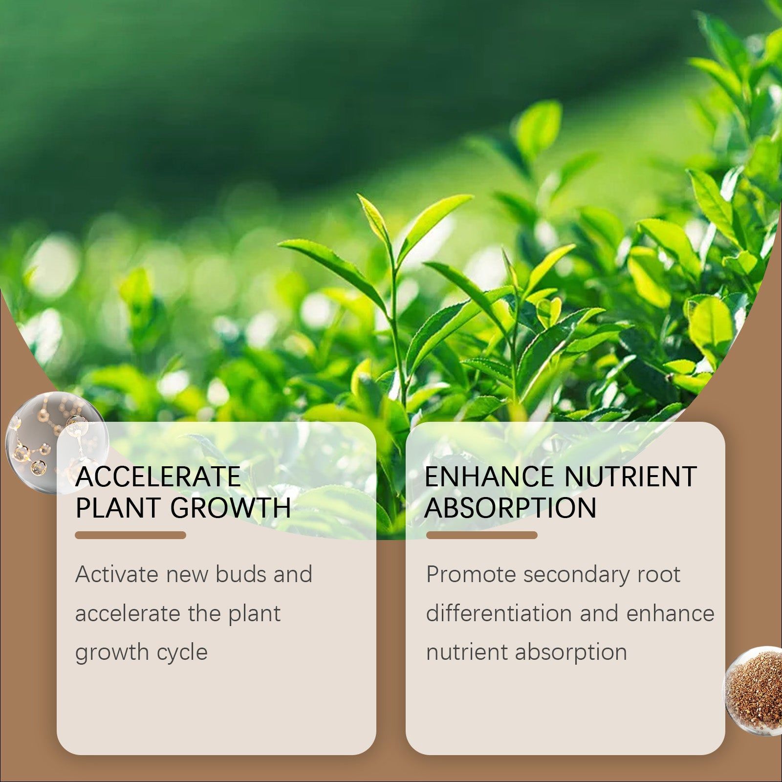 Boost Plant Growth with Soil Nutrition Powder, Organic Root Activator, Garden Fertilizer ,120g