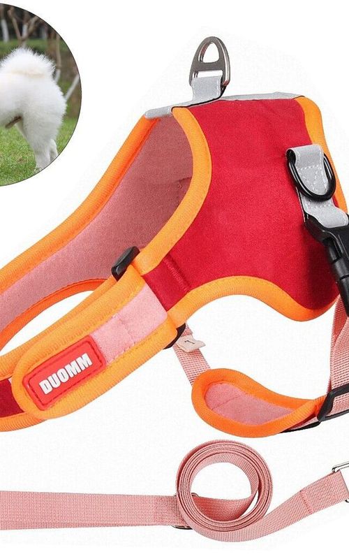 Dog Harness Leash Set Outdoor Reflective Breathable Adjustable Pet Vest