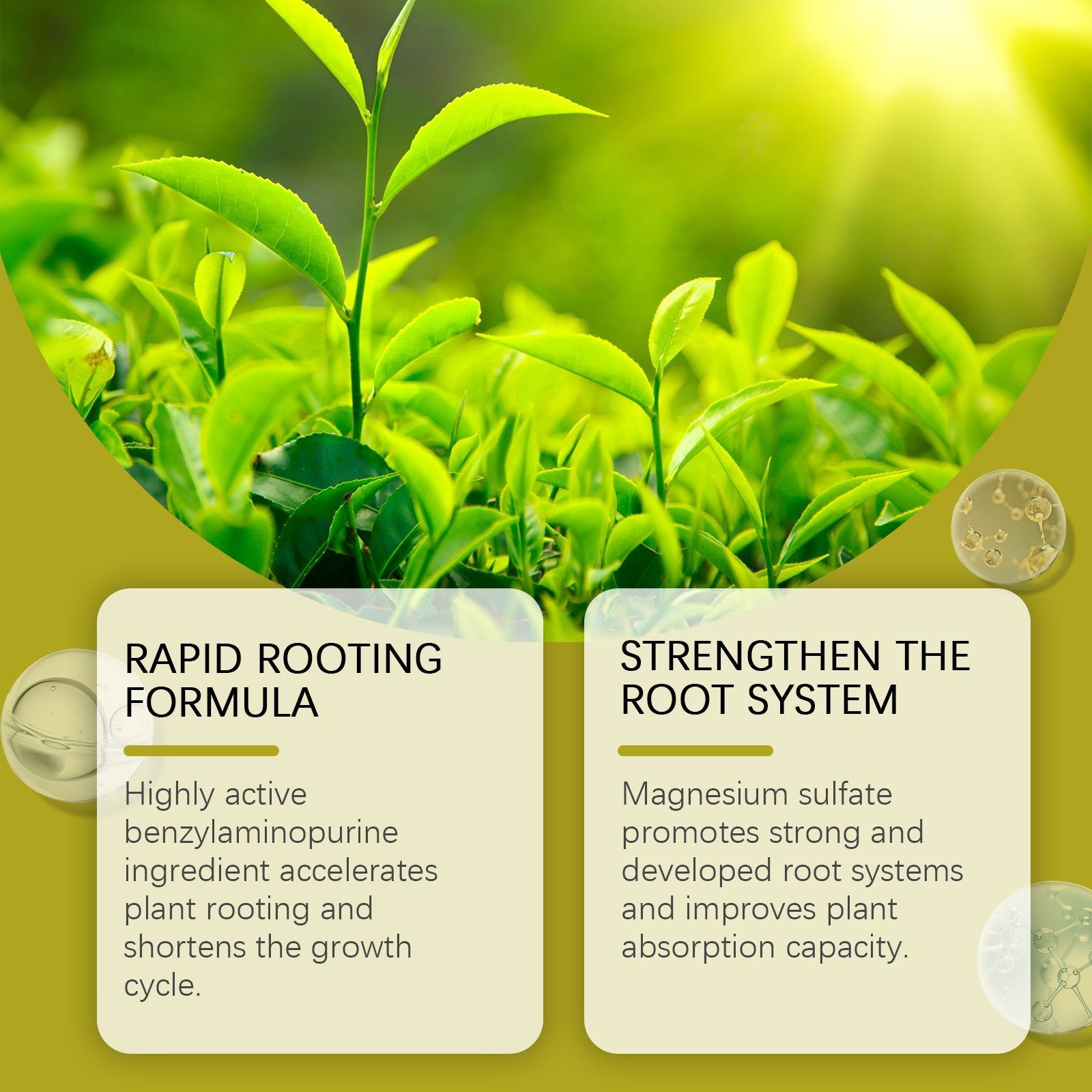Boost Plant Growth with Green Root Solution, Fast-Absorbing Nutrient, Fertilizer for Healthy Roots ,100ml