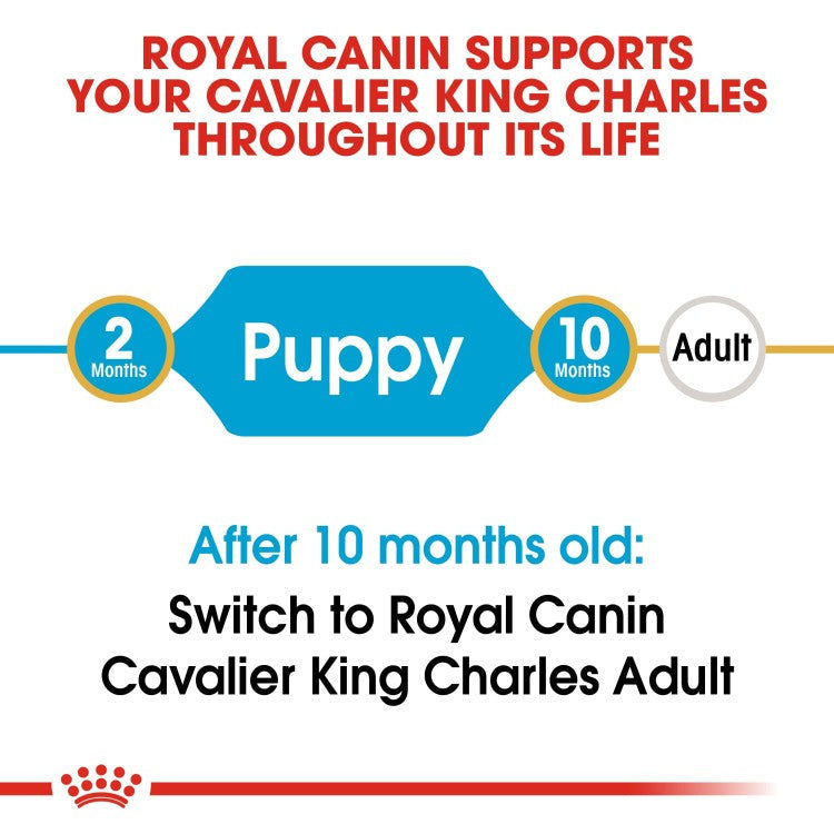 Breed Health Nutrition Cavalier King Charles Puppy 1.5 KG