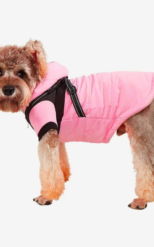 Winter Dog Coat Warm Puppy Vest Pet Jacket Waterproof Windproof Dog Thick Clothes