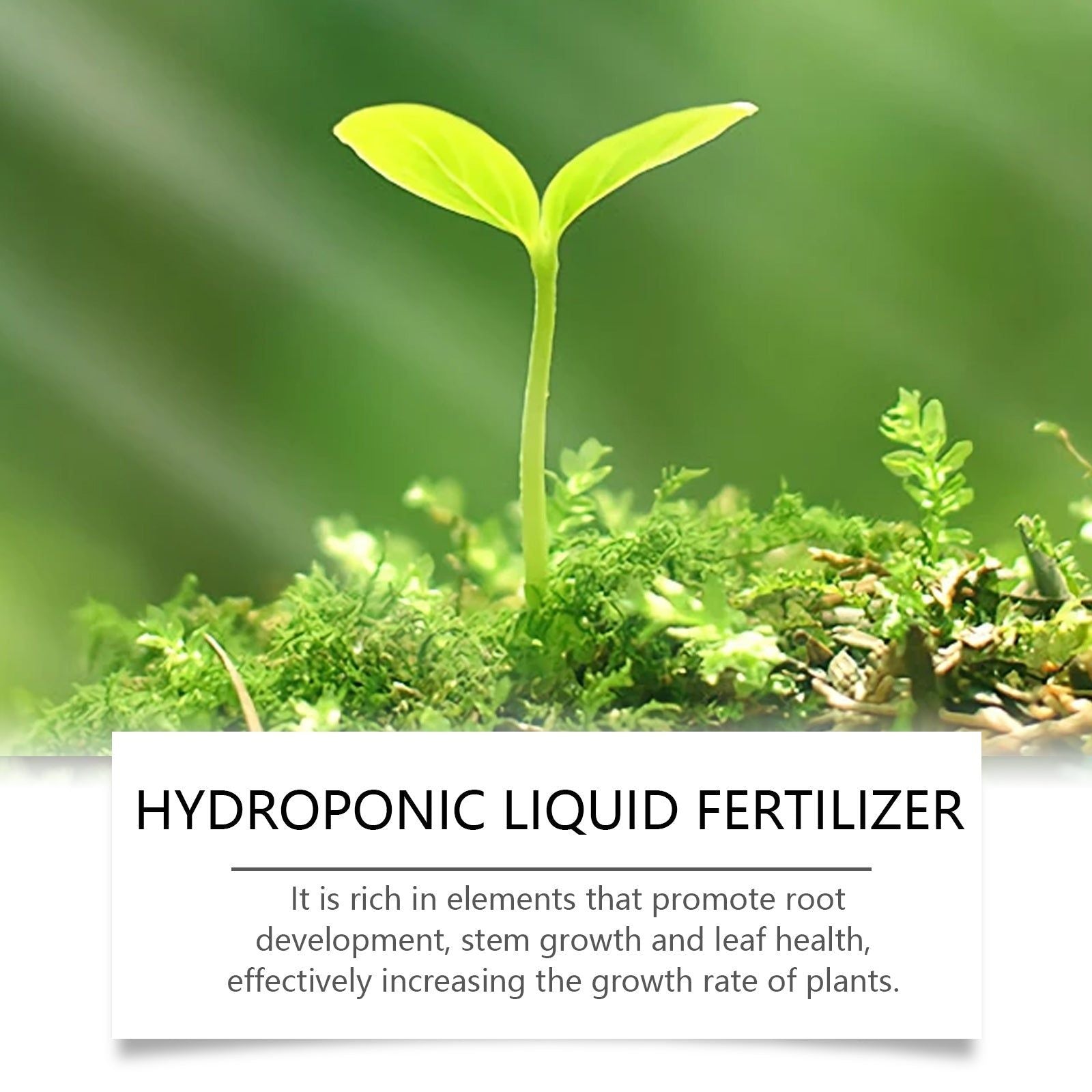 Boost Plant Growth with Hydroponic Liquid Fertilizer, Nutrient Solution for Healthy Green Leaves ,100ml