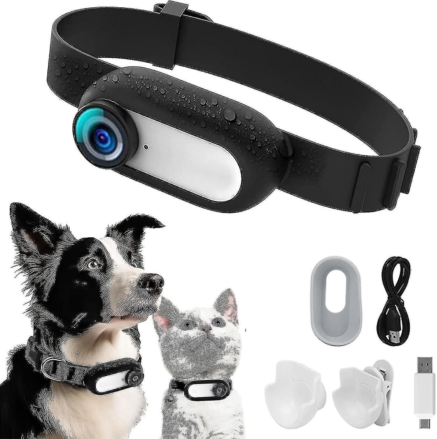 Pet Collar Camera HD Recording Tracking Device for Pets