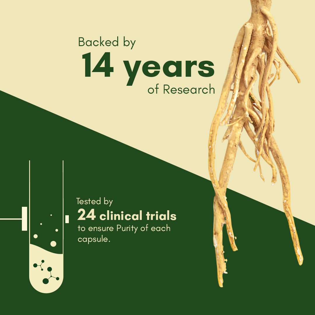 Rasayanam Ashwagandha KSM66 500mg 60 Capsules