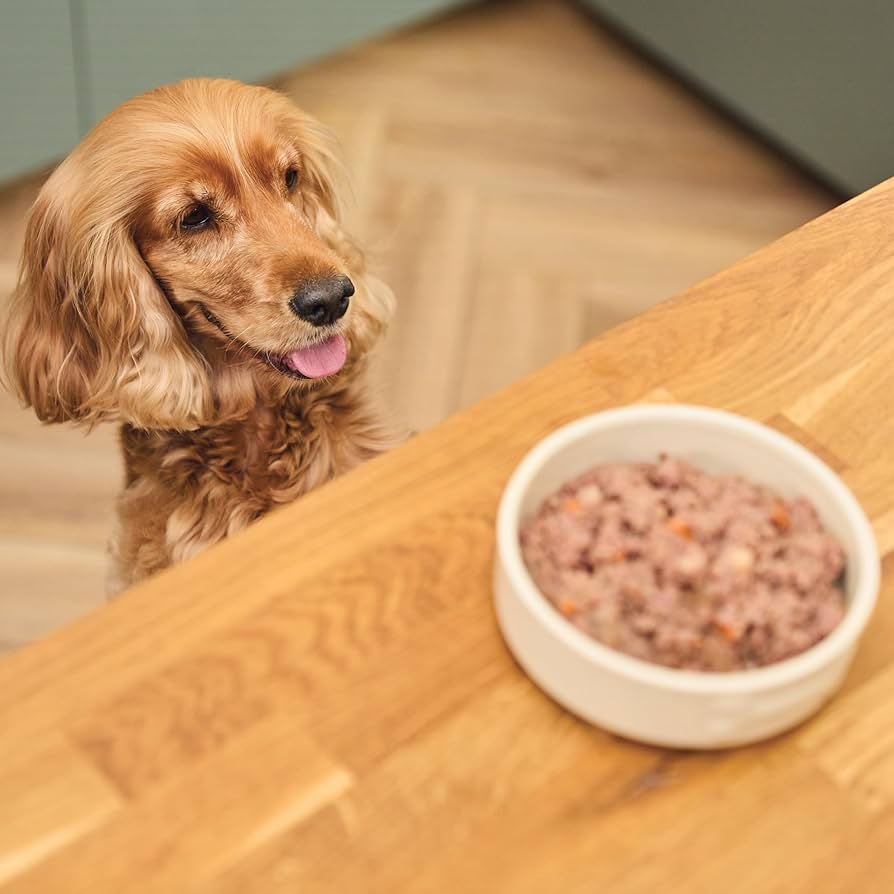 Lily's Kitchen Recovery Recipe Wet Dog Food 6x 400G