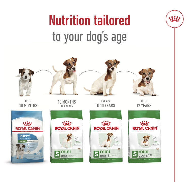 Royal Canin Size Health Nutrition Mini Ageing 12+( 1.5 KG)