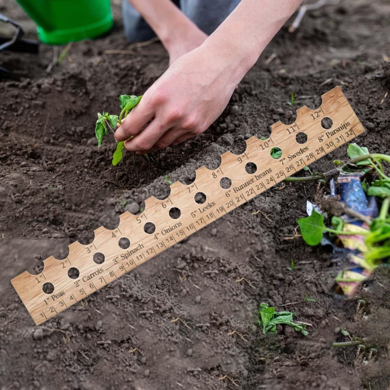 Seed Spacer Seed Ruler Seed Spacing Ruler With Inch And Centimetre Scale
