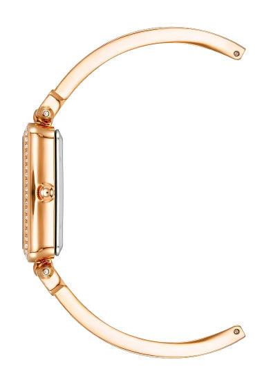 Anne Klein Ladies Watch AK3898BHST