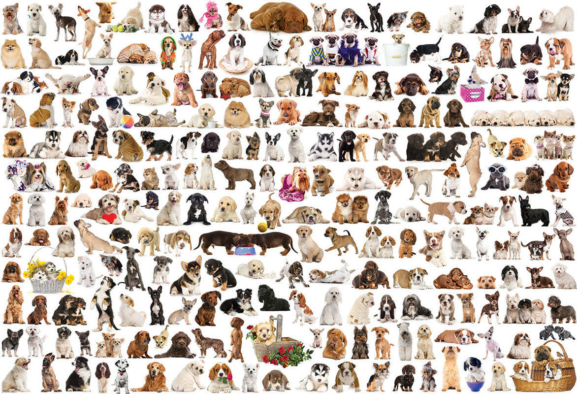 The World of Dogs 2000 Pieces Puzzle