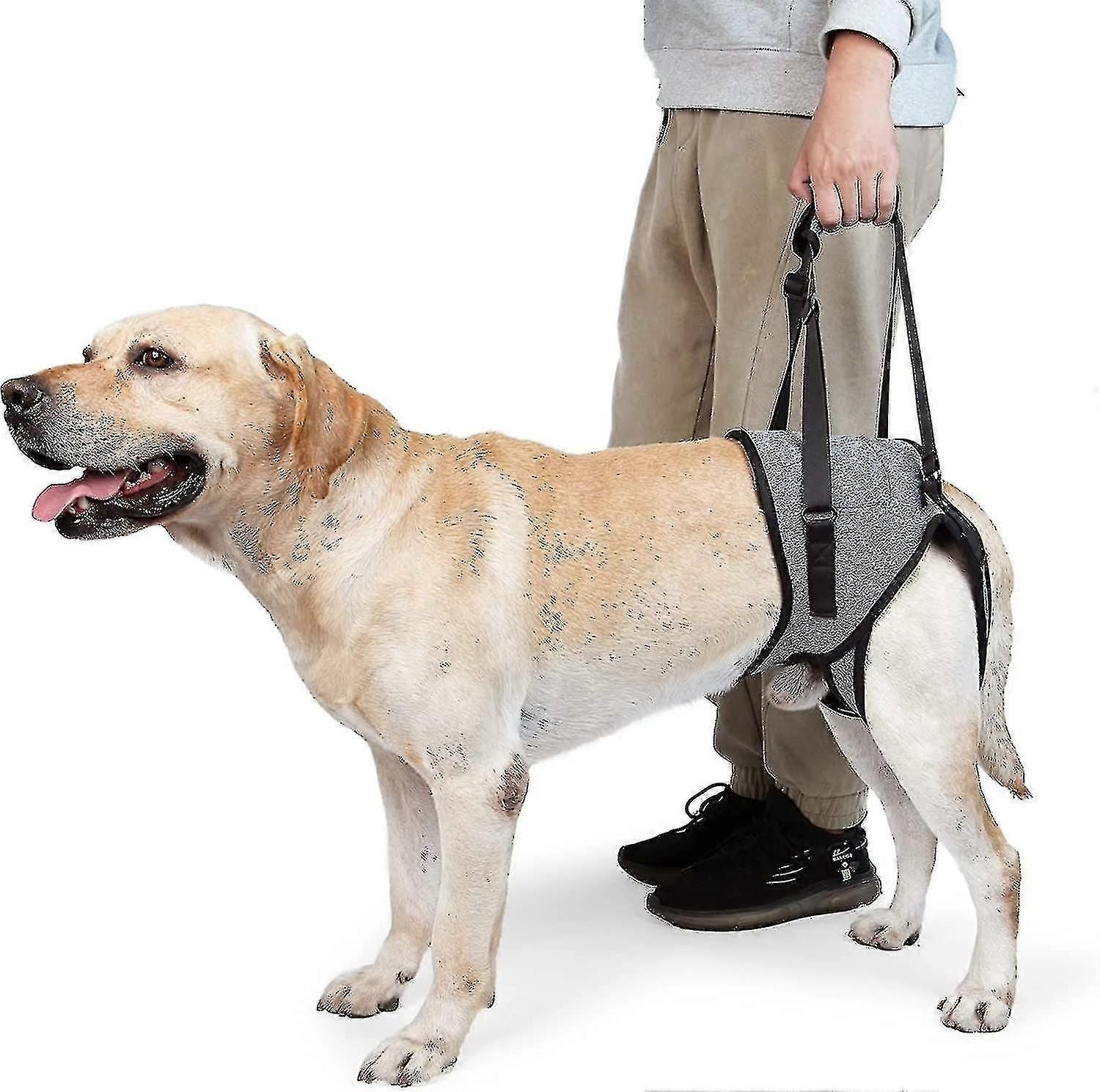 Dog Sling For Large Dogs Hind Leg Support To Help Rehabilitate The Hind Limbs Of Elderly Dogs With Weak Hind Legs Disabilities zxin