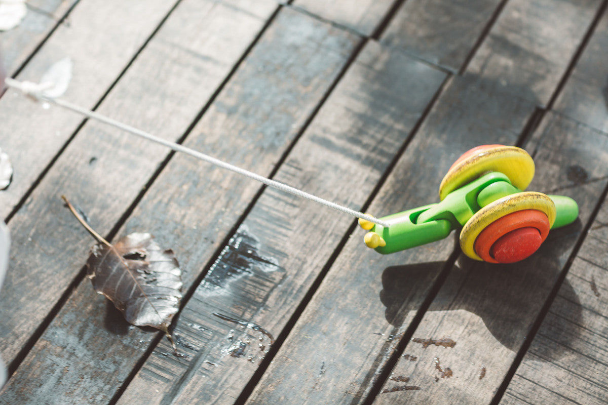 Pull-Along Snail