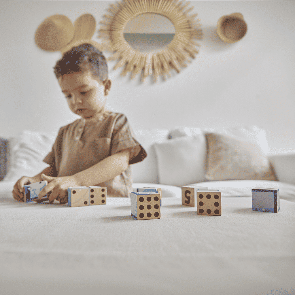 PlanToys Animal Puzzle Cubes
