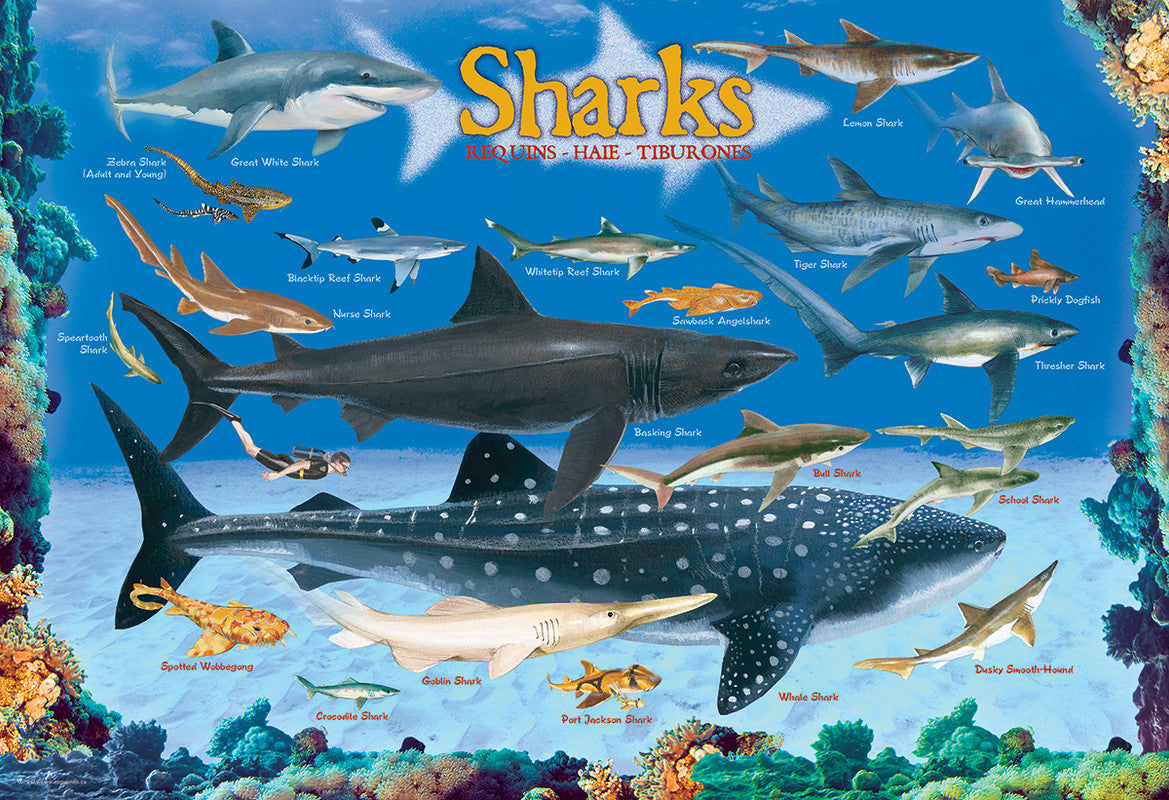 Sharks 100 Pieces Puzzle