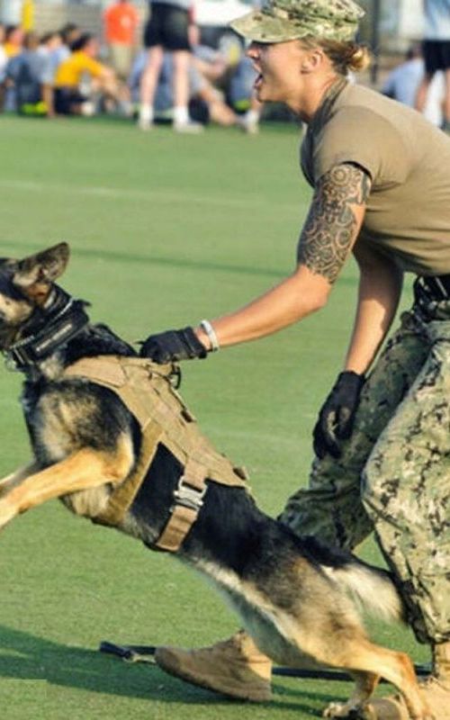 Tactical Dog Harness Nylon Handle Adjustable Training Harness Pet Working Vest