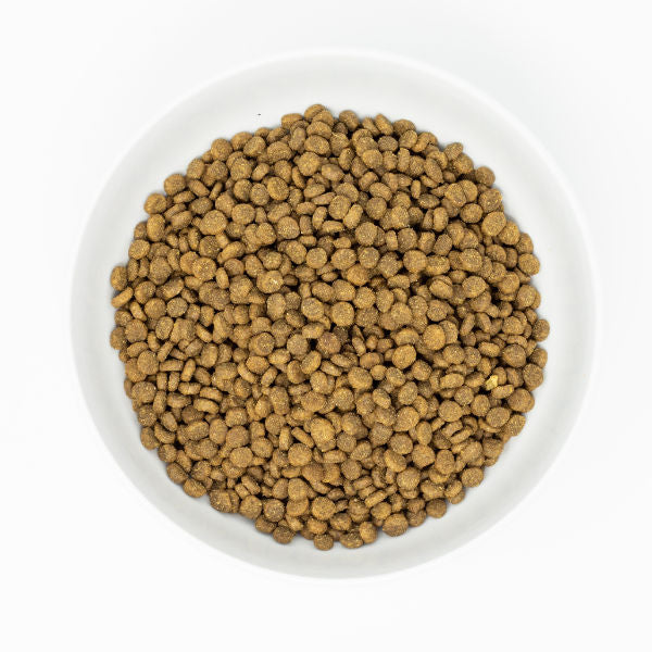 Stella & Chewy’s Cats Raw Coated Kitten Cage-Free Chicken Recipe 2.2Kg