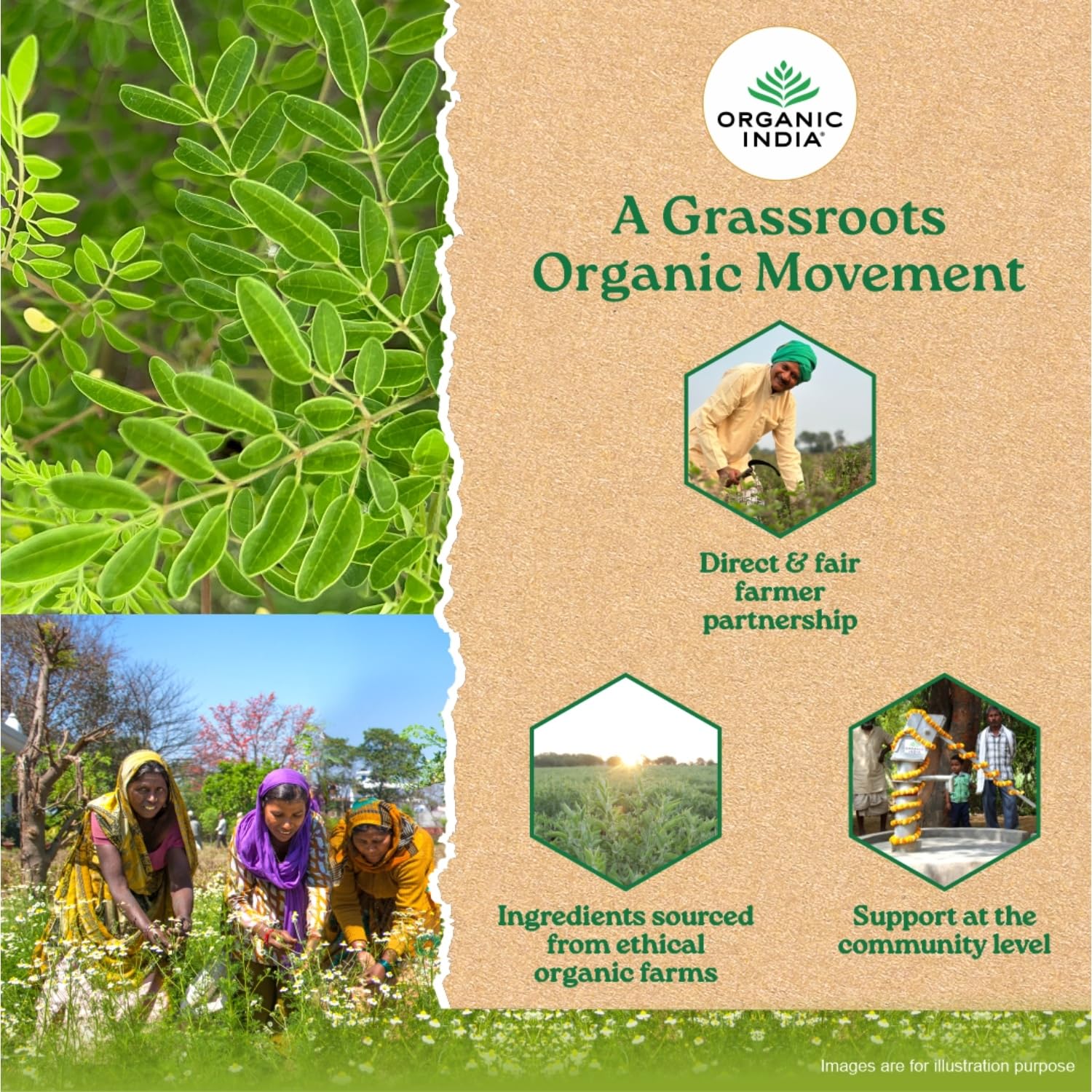 ORGANIC INDIA Moringa Powder Can 100g