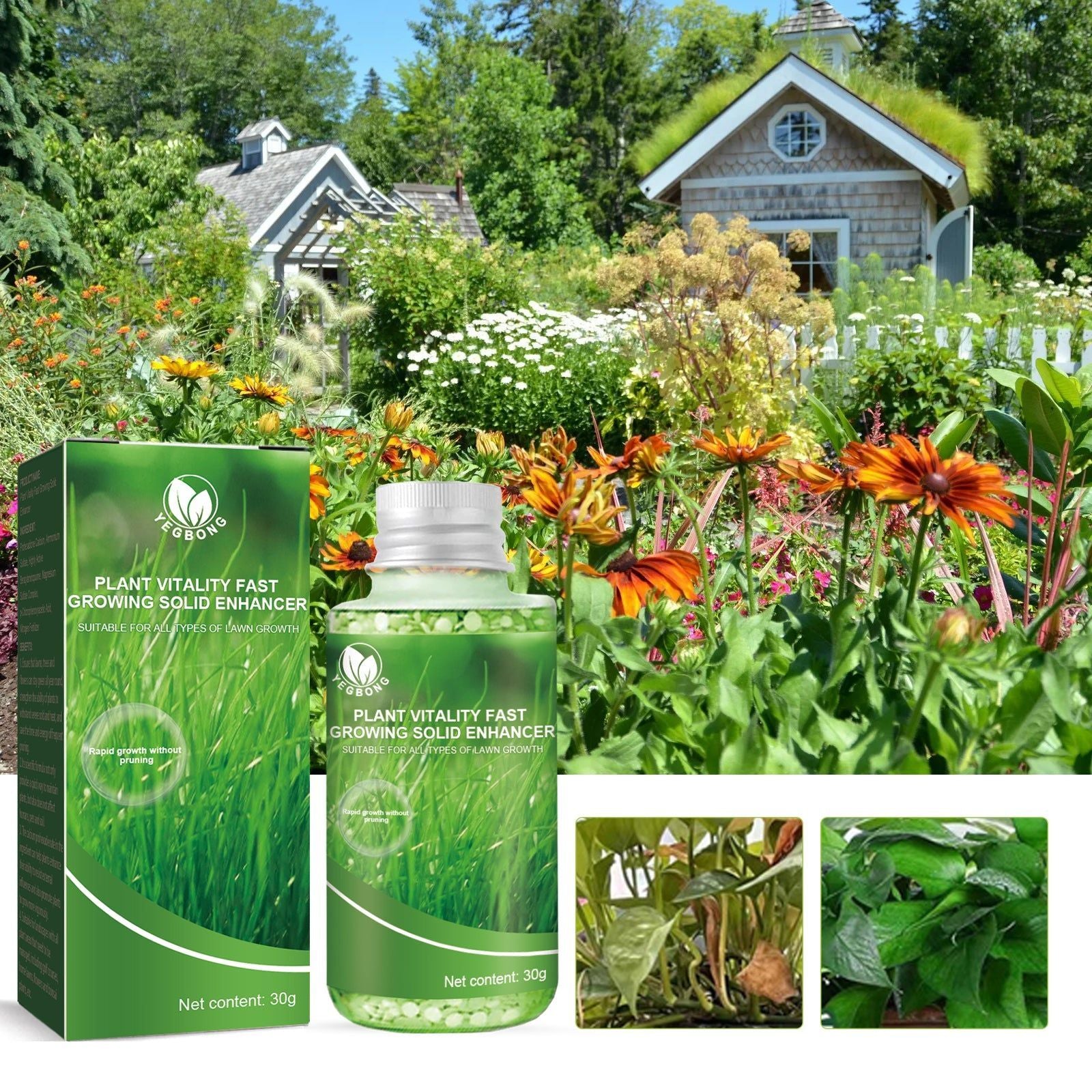Boost Plant Growth with Premium Plant Nutrient, Green Leaf Fertilizer for Lush Gardens ,30g