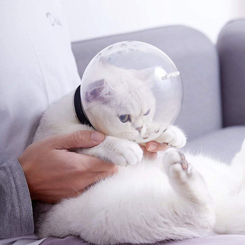 Cat Hood Ball Shaped Anti Bite Muzzle Breathable Anti Licking Mask Head Protective Cover