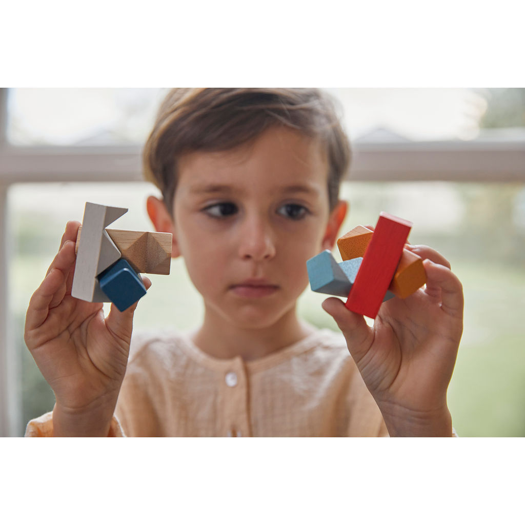 PlanToys PlanMini Rectangular Puzzle