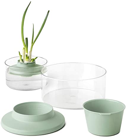 Brabantia 124402 Herbs and Vegetables Regrow Kit Fir Green