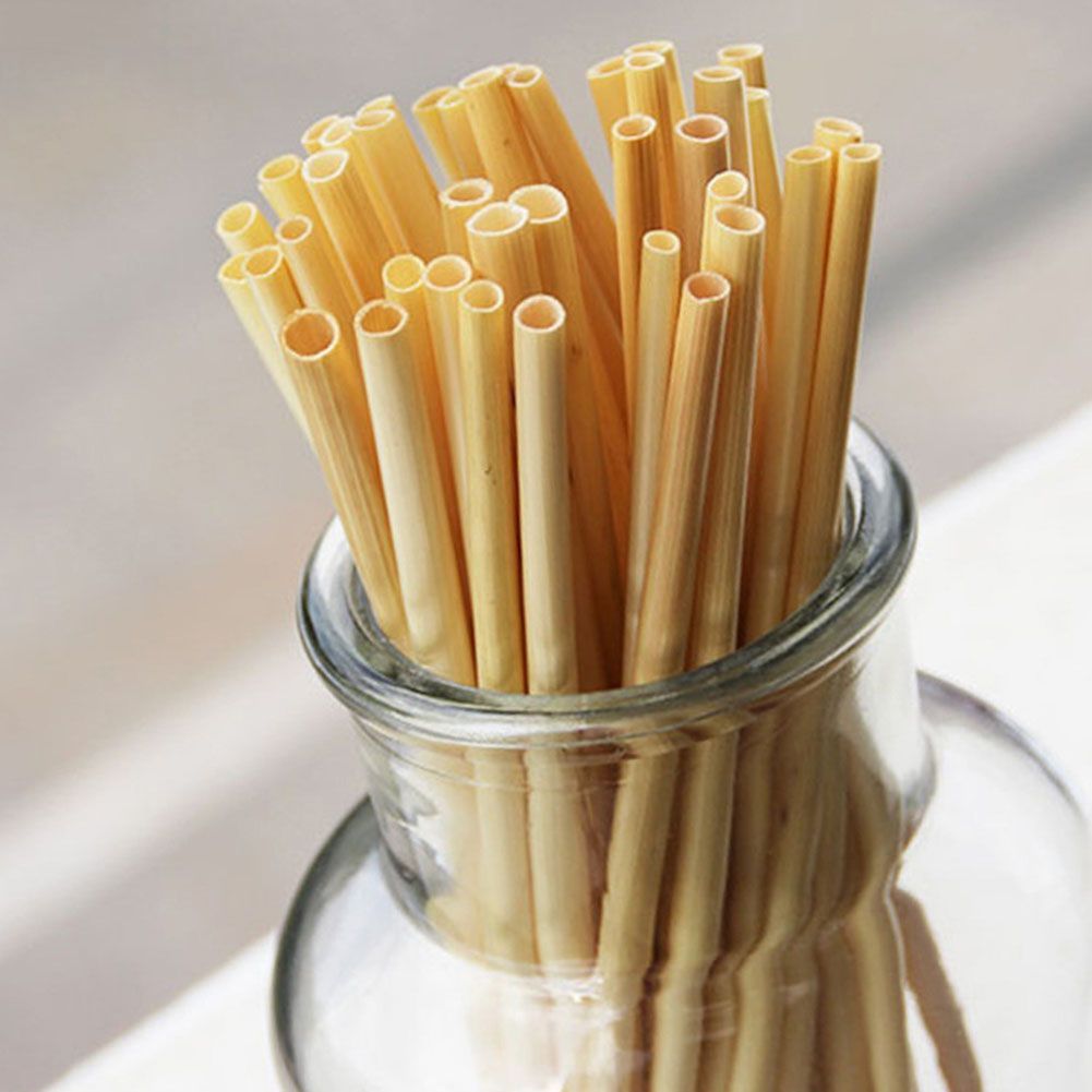 300Pcs Wheat Drink Straws Natural Biodegradable Drinking Straws Party Supplies