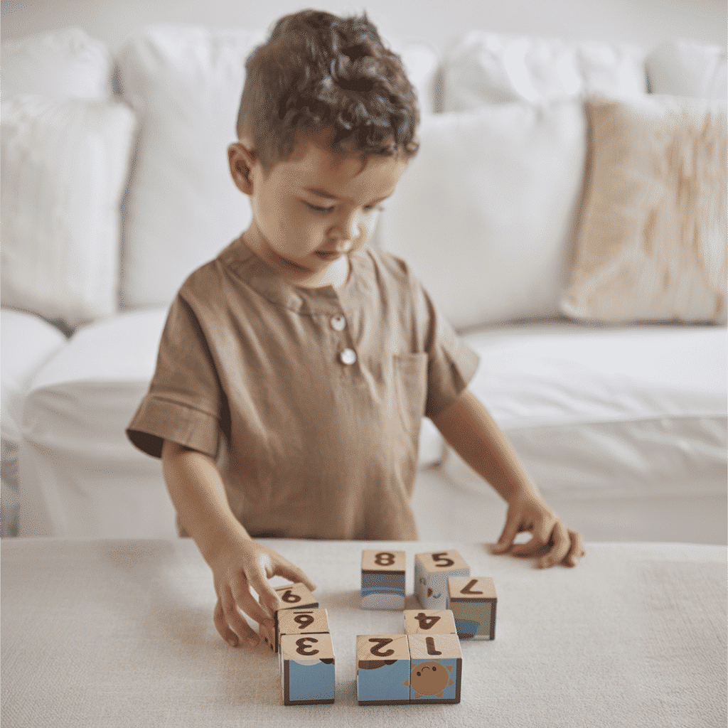 PlanToys Animal Puzzle Cubes