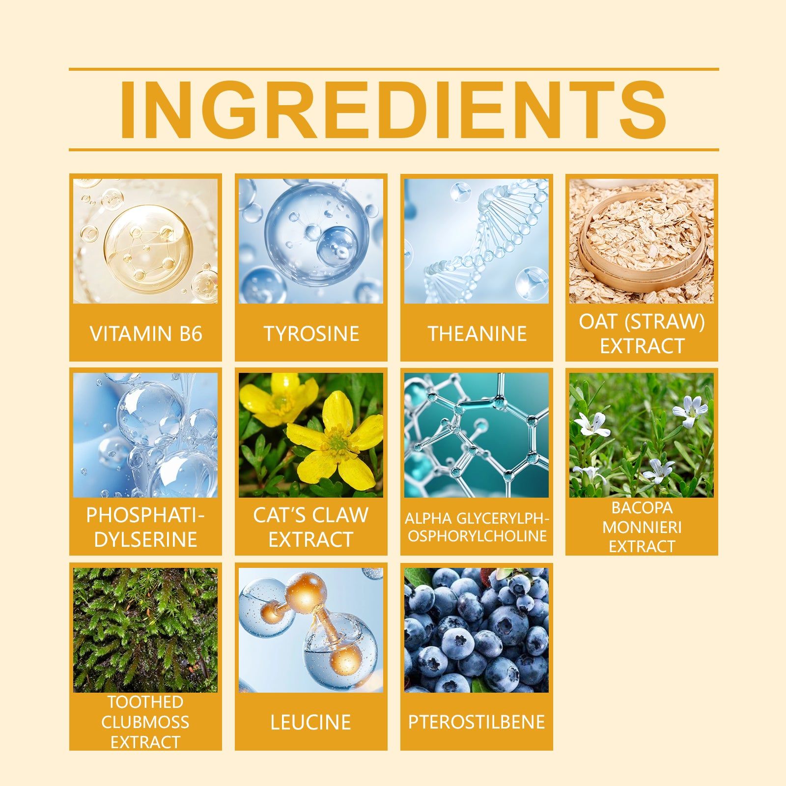 Boost Focus and Relaxation with Body Care Capsules, Enhance Concentration Naturally ,60capsules