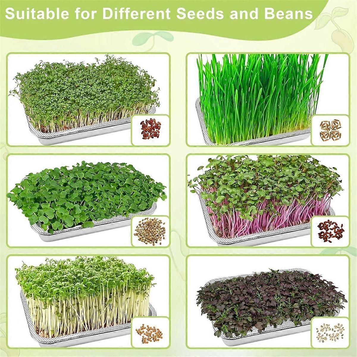 Stainless Steel Sprouts Growing Kit Trays 2-Tier 10.4 Inch