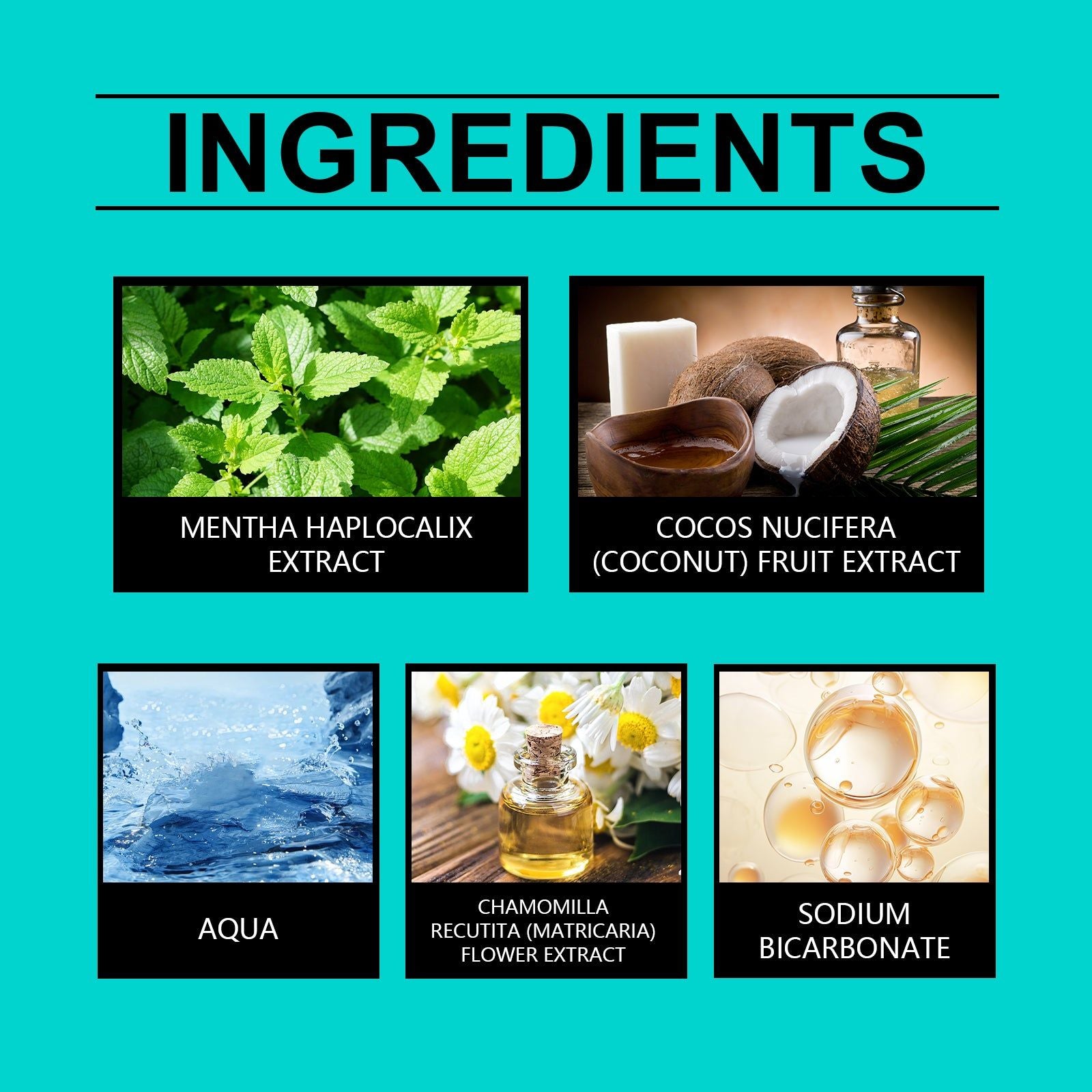 Coconut Mint Oral Odor Treatment Spray, Long-Lasting Fresh Breath, Stain Removal ,100ml
