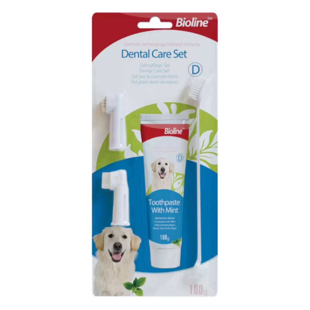 Bioline Dental Care Set, 100gm, Flavor Mint, New Package, For Age 6 Months Old