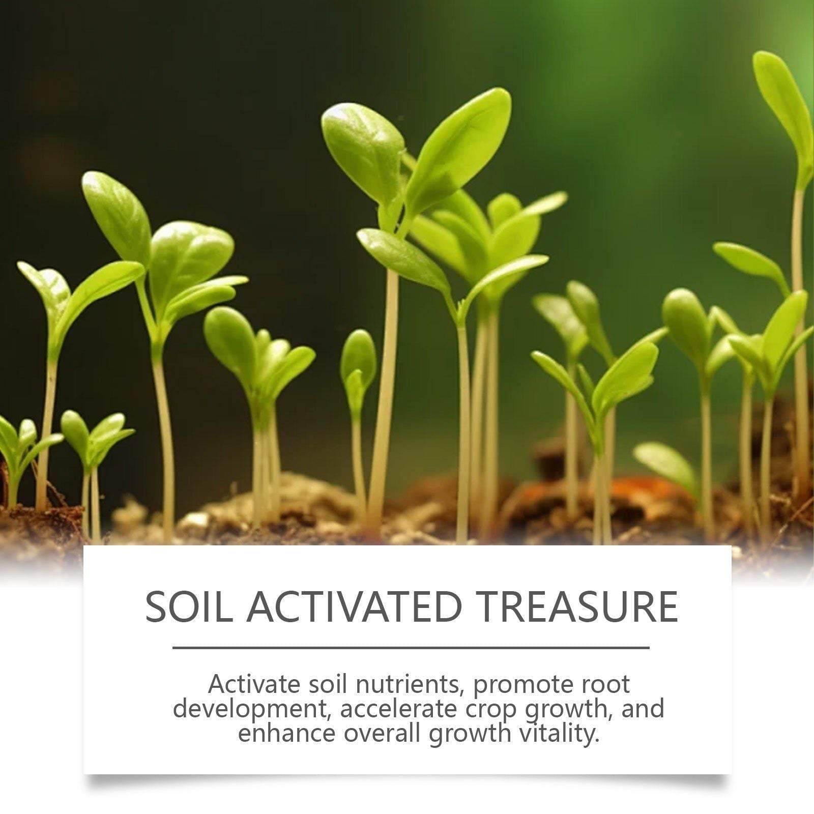 Boost Plant Growth with Soil Activator, Carbon Fixing, Root & Soil Health ,200g