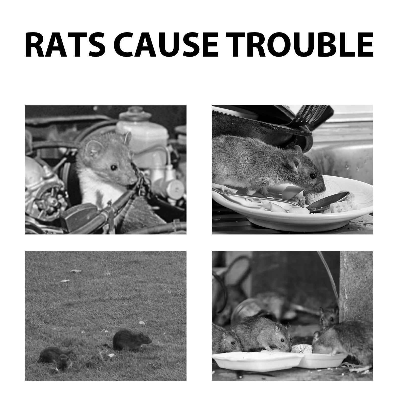 Avoidant Mouse Repellent, Natural Rodent Control, Indoor Outdoor Rat Deterrent ,120g