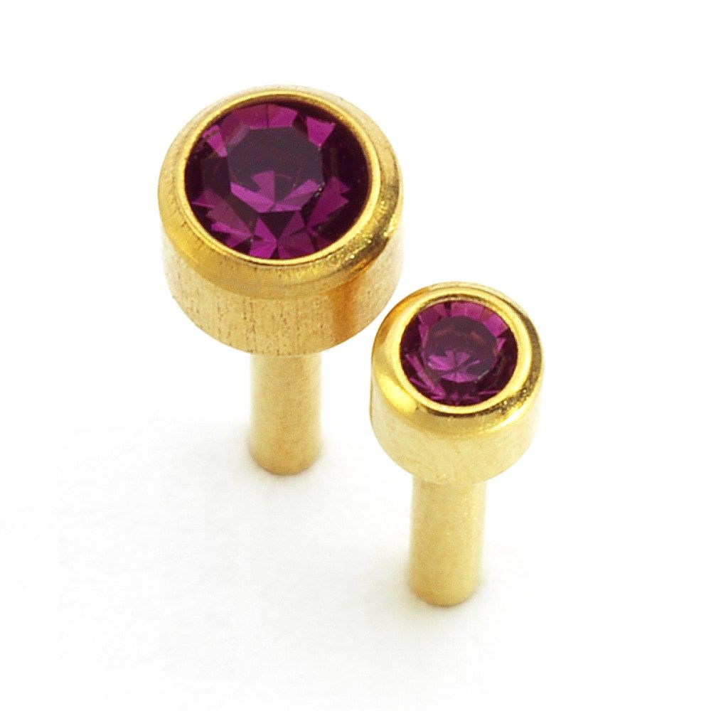 Caflon Singles Birthstone, Amethyst Gold Plated Earring