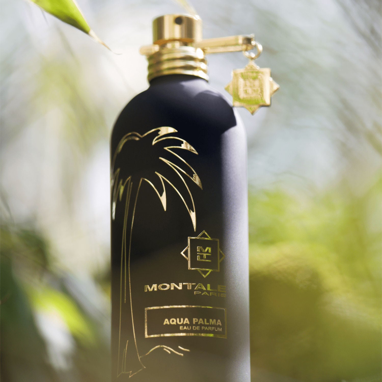 Aqua Palma Eau de Parfum 100ml