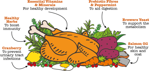 Little BigPaw British Chicken Dry Kitten Food 1.5kg