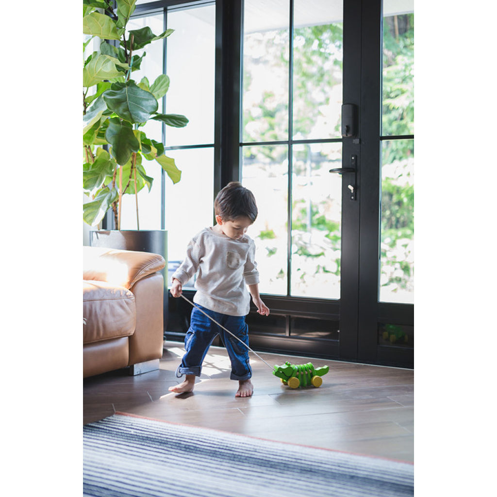 تمساح راقص من PlanToys