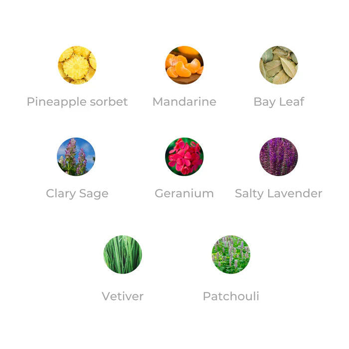 عطر CR7 Origins 100 مل