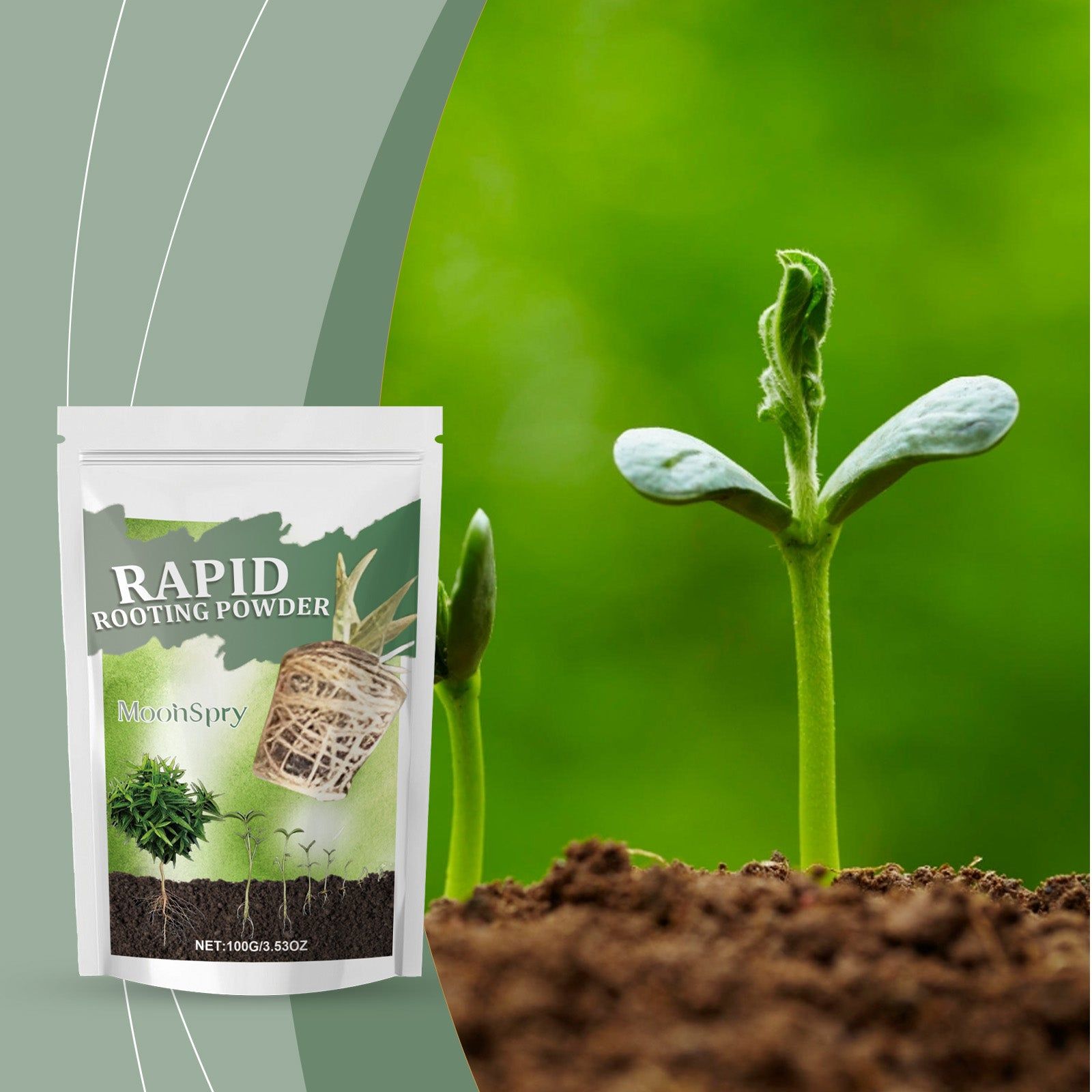 Boost Plant Growth with Root Powder, Organic Soil Nutrient, Root Development, Plant Health ,100g